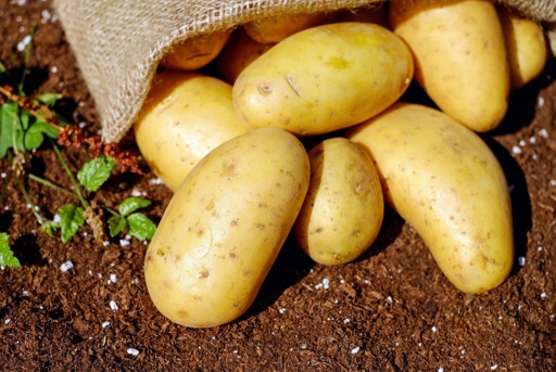 Potatoes coming out of bag on ground